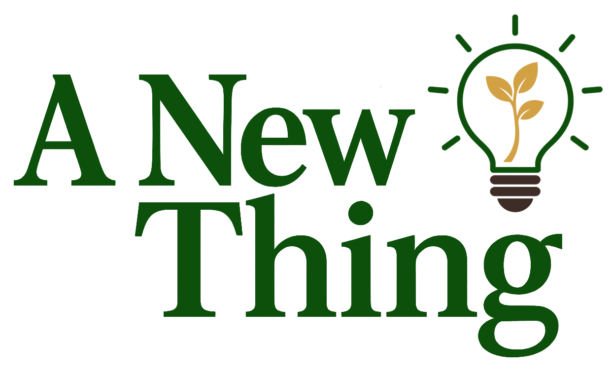 A New Thing LLC